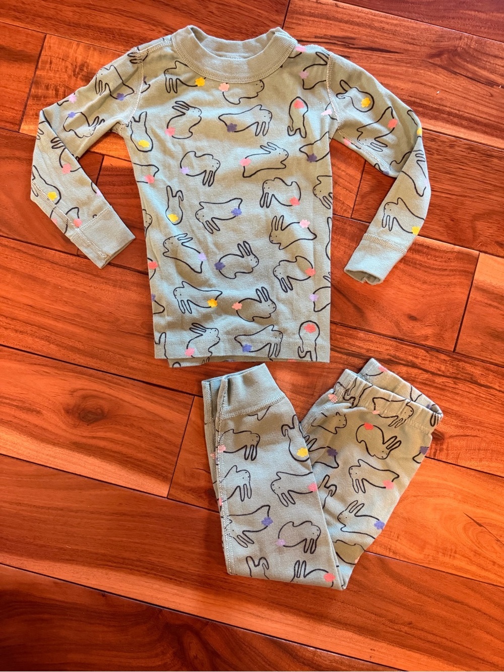 EUC Hanna Andersson Bunny Kids' Pajama Set Size 3T